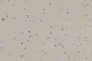 Линолеум Taralay Premium Indiana 3788 Nauru фото  | FLOORDEALER